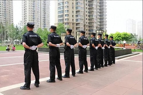 保安个人行为风波后的物业管理反思 服务边界与社区和谐