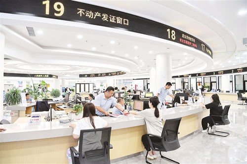 对话丨形成狠抓落实的好局面——聚焦物业管理（不含保安服务）